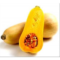 Calabaza Butternut Lisa. 100 Gr / 600 Semilla