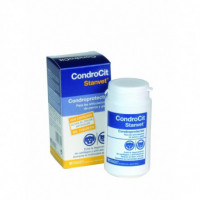 Condrocit para Articulaciones de Perros y Gat