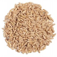 Avena Pelada Ecologica P5 Kg