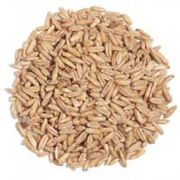 Avena Pelada Ecologica P5 Kg