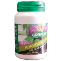 Hormo Green H1 Fito Hormonas Enraizantes (Fun