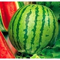 Sandia Crimson Sweet. 10 Gramos. 200 Semillas