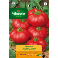 Vilmorin Semillas de Tomate Marmande S-1 769,