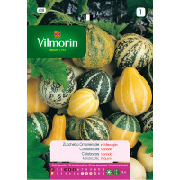 Vilmorin Semillas de Calabacitas Variadas Flo