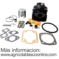 Kit Reparación Motor Minsel M150