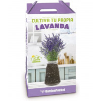 Cultiva Tu Propia Lavanda Aromática - Garden 