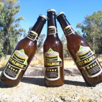 Cerveza de Moringa Vitalmor Beer (33 Cl).