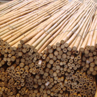 Tutores Bambú 210 Cm 16/18 Mm TAI (P 100)