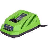 Cargador Universal Bateria Greenworks G40Uc 4