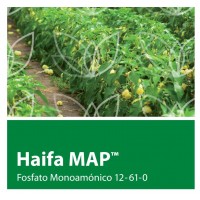 Haifa MAP  Fosfato Monoamónico 12- 61-0 de Ha