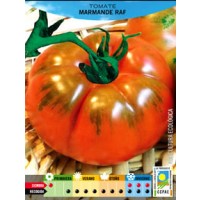 Tomate Marmande Raf Ecologico. 0,5 Gr. 85 Sem