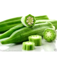 OKRA ¨esparrago del Pobre¨. Envase Hermético 