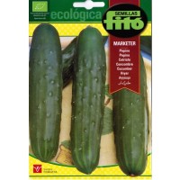 Pepino Marketer Ecológico. 2 Gr / 60 Semillas