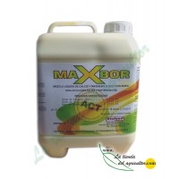 Maxbor 6 Litros (Sulfato de Magnesio con Boro