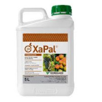 Kenogard Reductor Brotes Xapal