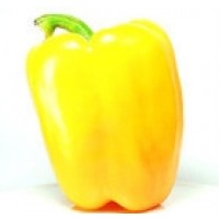 Pimiento Amarillo Gigante Golda. 30 Semillas