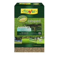 Semillas Césped Sombra Flower - 1 Kg