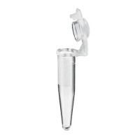 Eppendorf Microtubo con Tapón Unido a Tubo, A