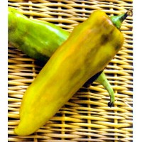 Pimiento Amarillo Ros de Mallorca. 3 Gr / 300