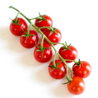 Tomate Cherry 270 Plantas
