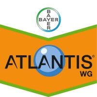 Atlantis WG, Herbicida Bayer