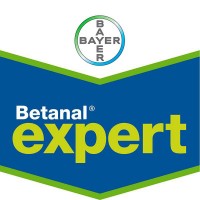 Betanal Expert, Herbicida Post Emergencia Bay