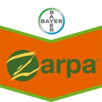 Zarpa, Herbicida Pre y Post Emergencia Bayer