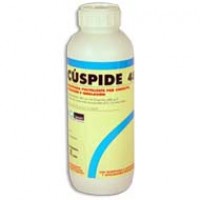 Cuspide 48, Insecticida Masso