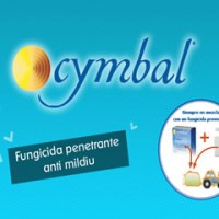 Cymbal, Fungicida Antimildiu a Base de Cimoxa