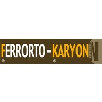 Ferrorto-Karyon, Abono CE Karyon