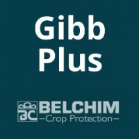 Gibb Plus, Limita la Degradación de los Produ