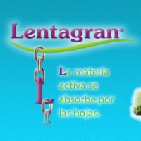 Lentagran, Herbicida de Post Emergencia Belch