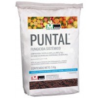 Puntal, Fungicida Masso