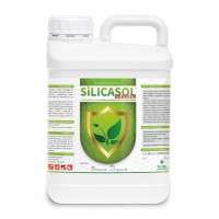 Silicasol Barrier, Protección Fisicoquímica d