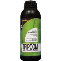 Tripcom, Eco-Logic Arvensis