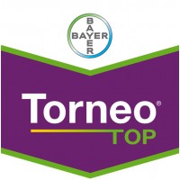 Torneo Top, Abono Bayer