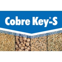 Cobre Key-S, Fungicida Key