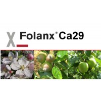 Folanx Ca29, Abono CE Key