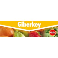 Giberkey, Fitorregulador Key