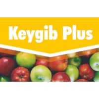 Keygib Plus, Fitorregulador Key