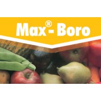 Max-Boro, Abono CE Key