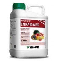 Enraigard, Estimulante de la Raíz Kenogard 25