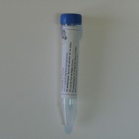 Hongo Trichoderma. 15 Cc. 10 Envases