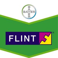 Flint, Fungicida de Amplio Espectro Bayer