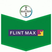 Flint Max, Fungicida Sistémico de Amplio Espe