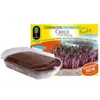 Germinador para Brotes