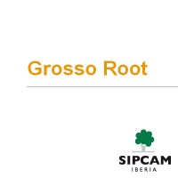 Grosso Root, Abono con Aminoácidos NPK 9-4-3 