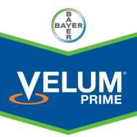 Velum Prime, Nematicida-Fungicida de Bayer