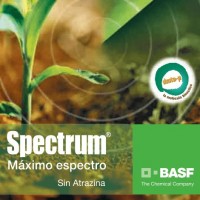 Spectrum, Herbicida Basf