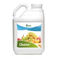 Glúcox, Translocador de Azúcares Mafa